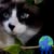 Julie Hailer's profile image