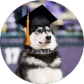 joey berke's Profile Image