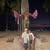 Debbie Francoeur Cary's profile image