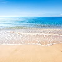 Marian Soares's profile image