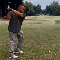 Wang D Fang's profile image