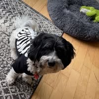 Meg Elyse's profile image