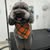 Lopez Yolanda's profile image