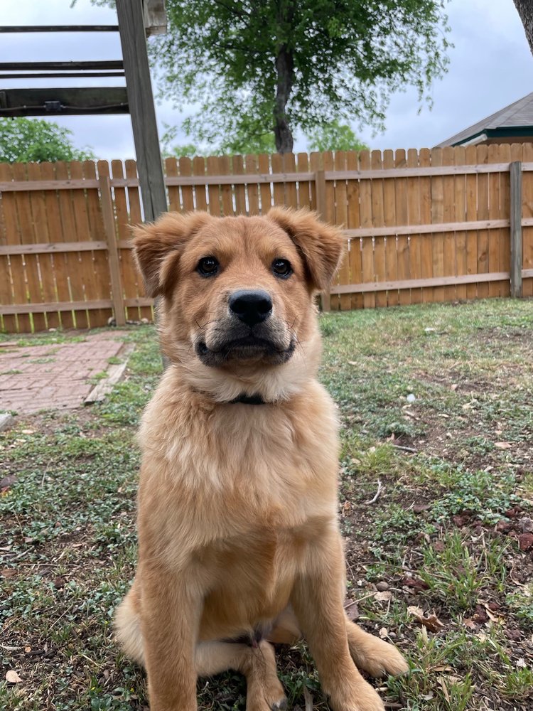 Vicky M.'s profile image