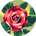 Tammy Walker's Profile Image