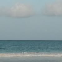 Nisha Hawkins's profile image