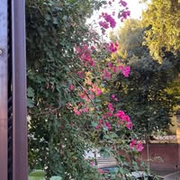 Lisa Salmestrelli Obetz's profile image