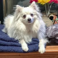 Ann Fultz Hazelbaker's profile image