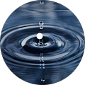 Nirav Vyas's Profile Image