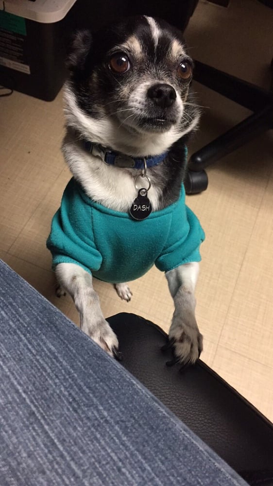 Cecile N.'s profile image