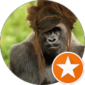 Chance Everett's Profile Image