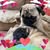 Cherie Tourville-Haas's profile image