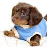 Caitlyn H.'s profile image