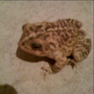 Mark C.'s profile image