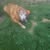 Donna Malenchak's profile image