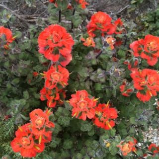 Laurie M.'s profile image