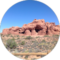 Pam Bruner's Profile Image