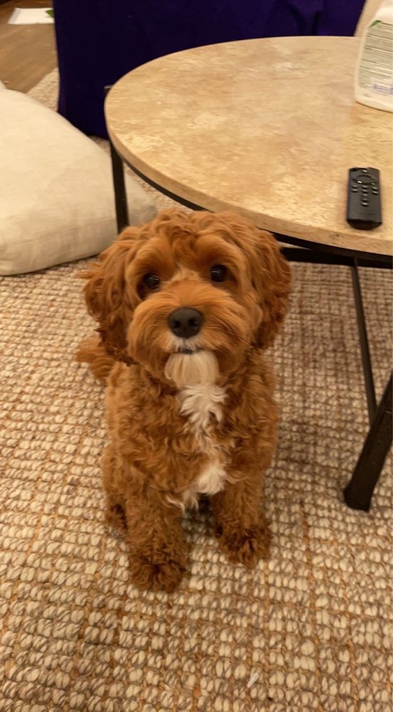 Kay S.'s profile image