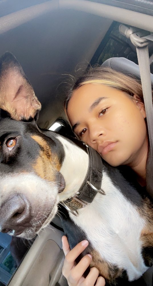 Rachel C.'s profile image