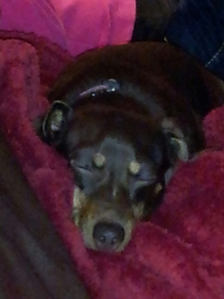 Ted K.'s profile image