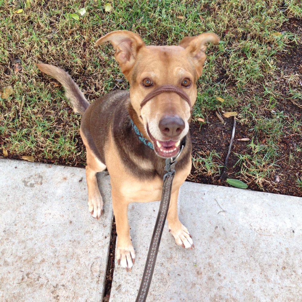 Jessica S.'s profile image