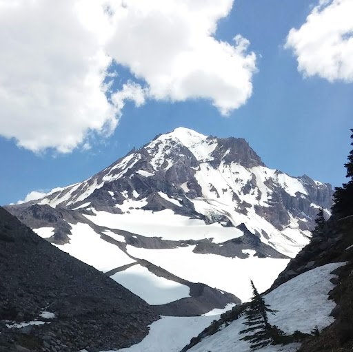 Bernadette's profile image