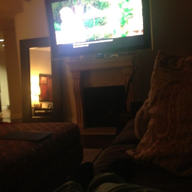 Milo S.'s profile image