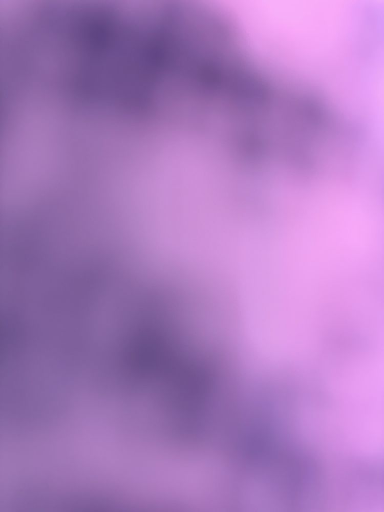 Lori C.'s profile image