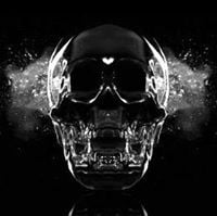 Stacey C.'s profile image