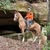 Randy Maggard's profile image