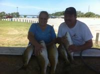 Pamela D.'s profile image