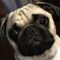 Joe S.'s profile image