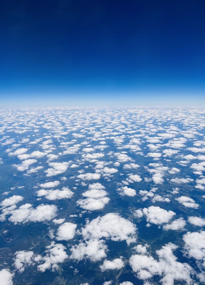 Lisa C.'s profile image