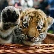 Gloria P.'s profile image