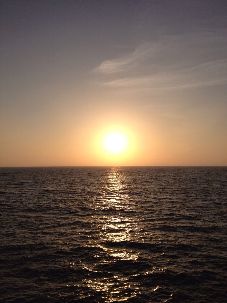 Felix Q.'s profile image