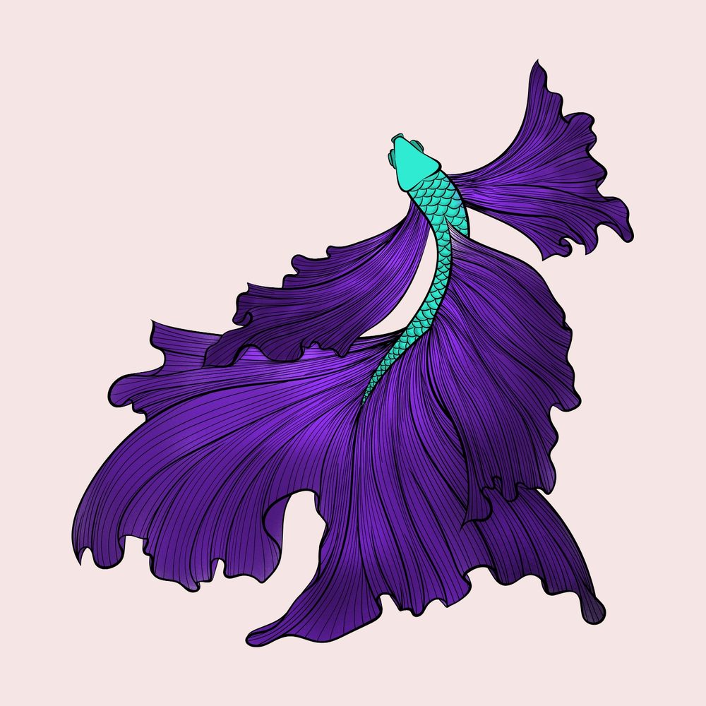 Rebecca S.'s profile image