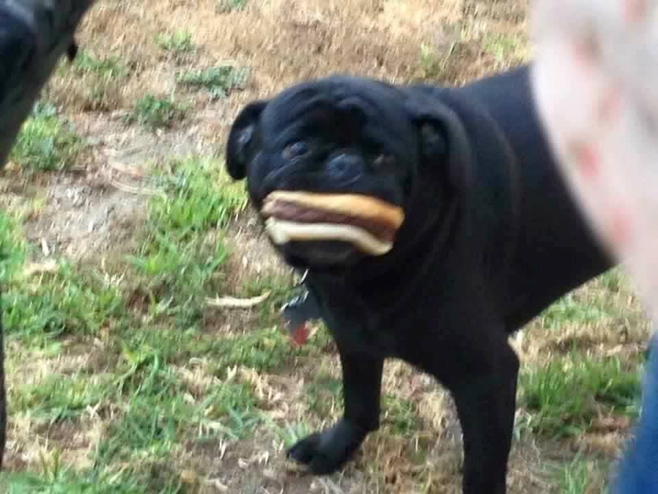 Ruth B.'s profile image