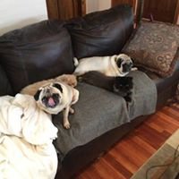 Michael B.'s profile image