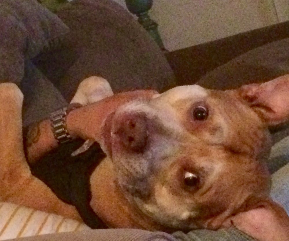 Amber C.'s profile image