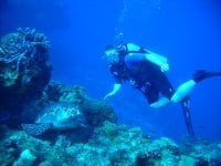 Brian C.'s profile image