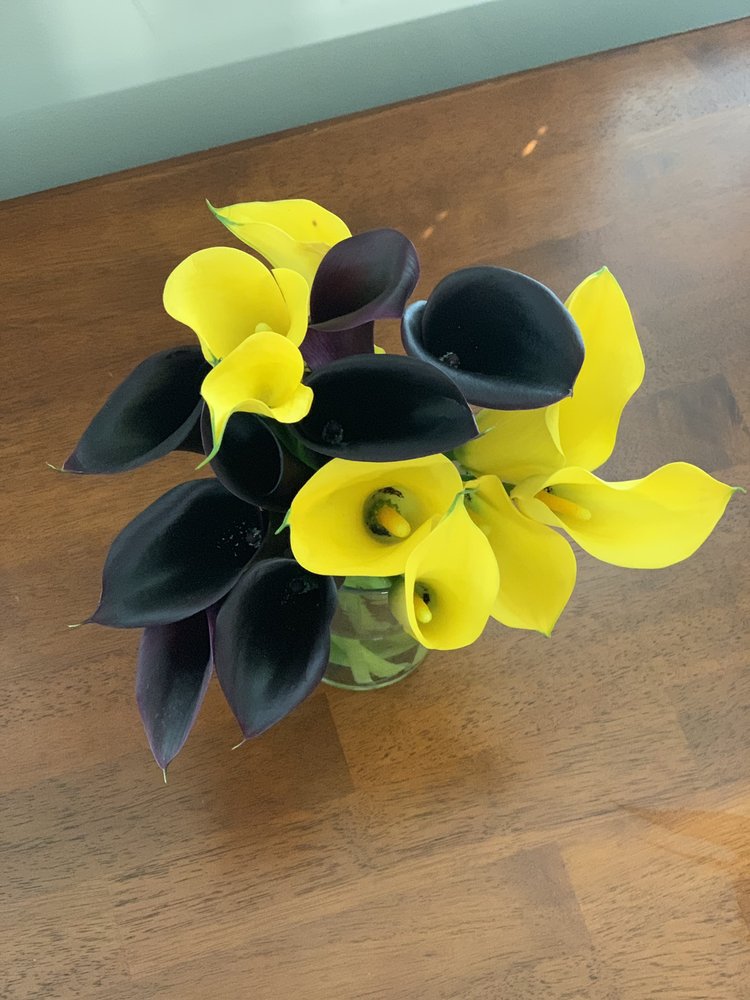 Shay H.'s profile image