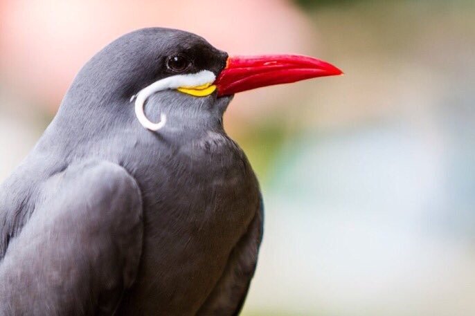 Beverly C.'s profile image