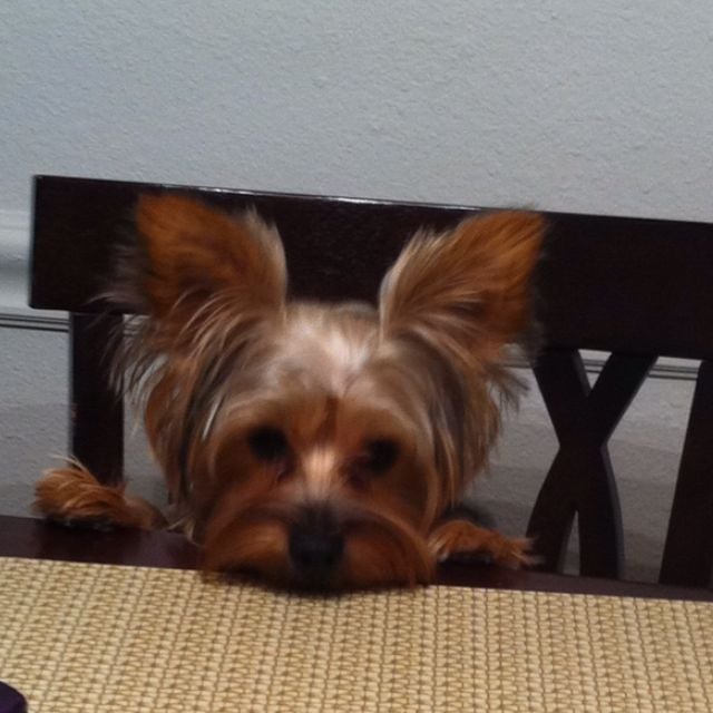 Crystal G.'s profile image