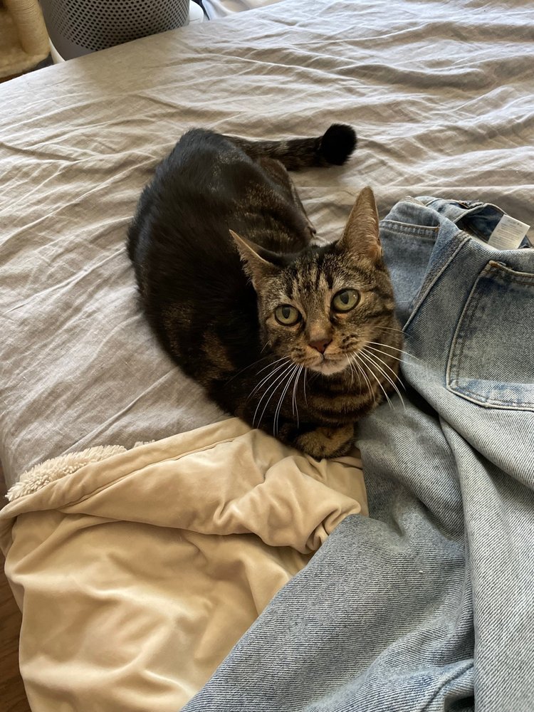 Aymee L.'s profile image