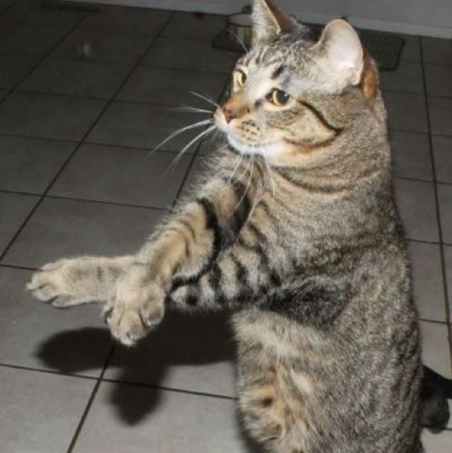 Chris S.'s profile image