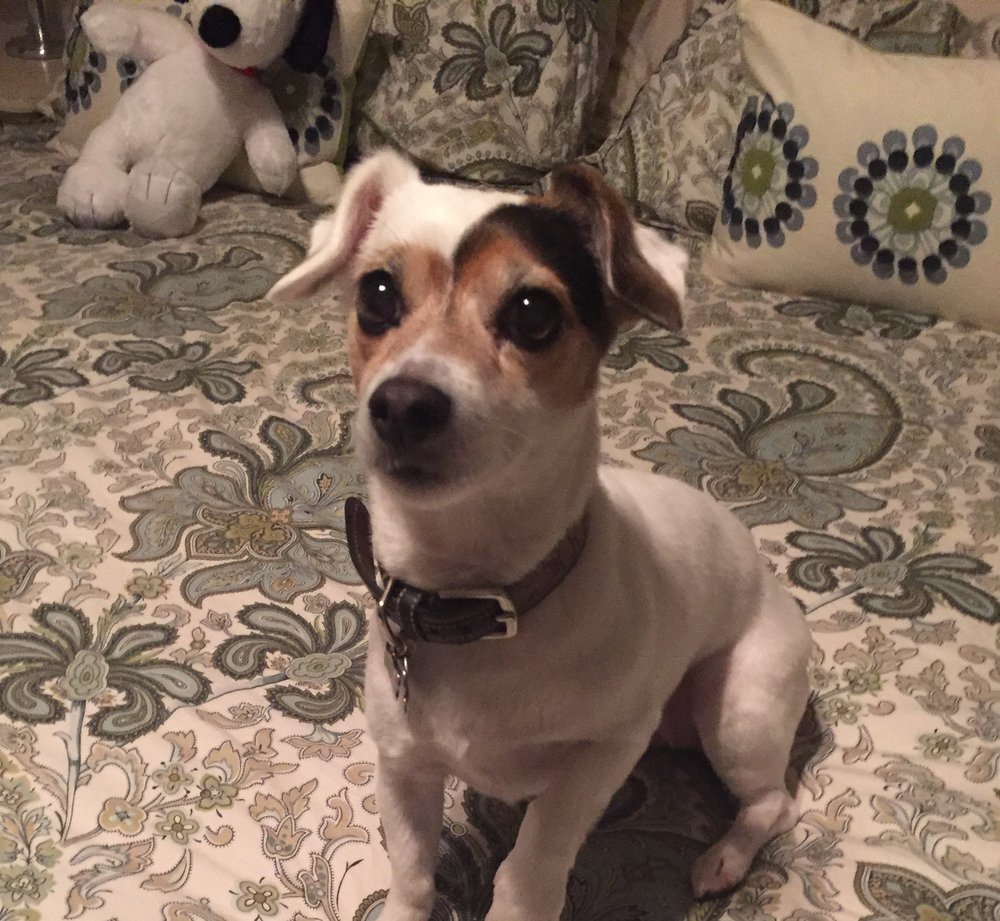 Steven L.'s profile image