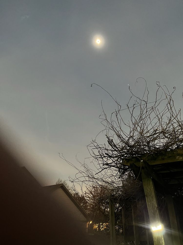 Nancy R.'s profile image