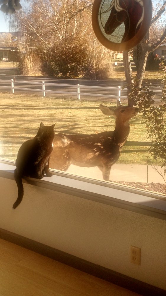 Connie M.'s profile image