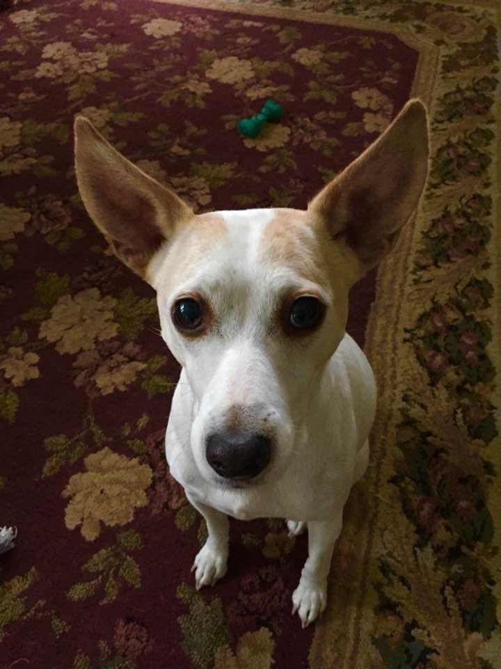 Didi L.'s profile image