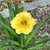 Debi Ford's profile image